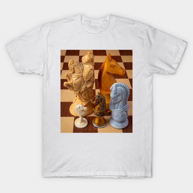 Five Knights T-Shirt by photogarry